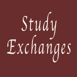 Study Exchanges 